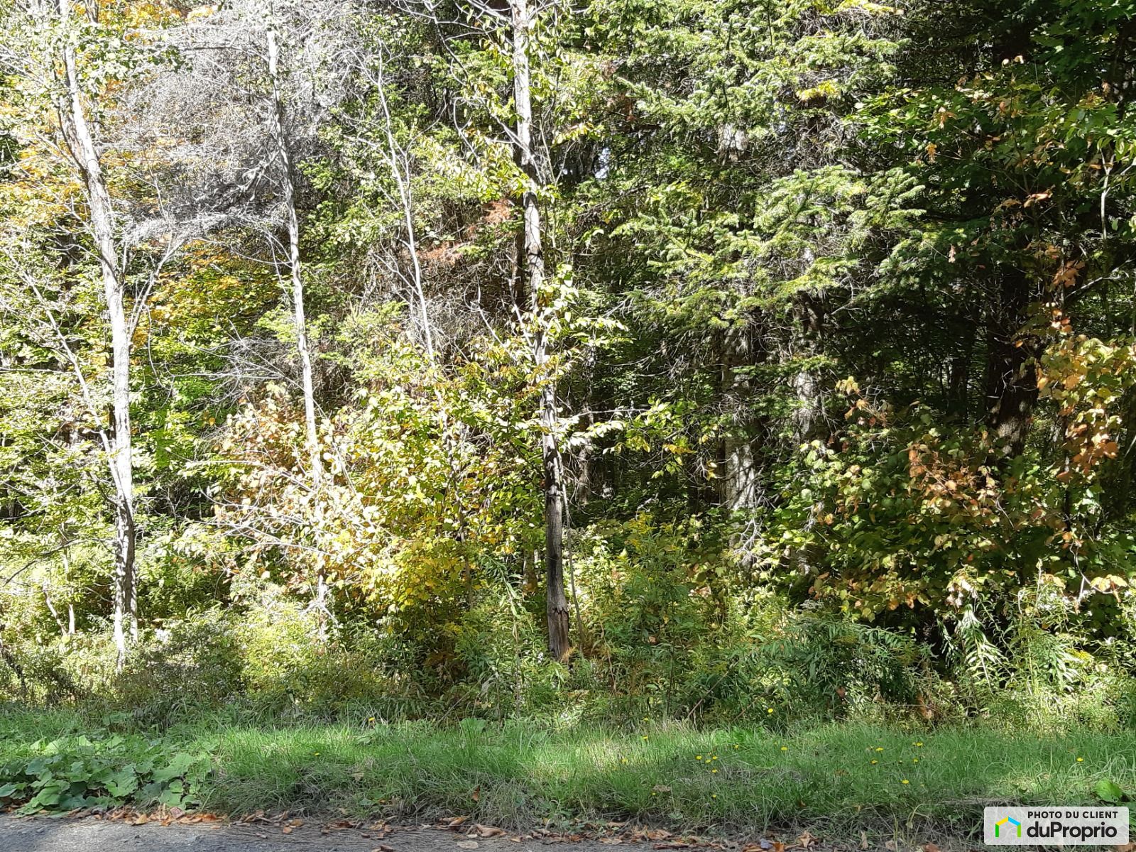 109 Chemin Rousseau — photo 2