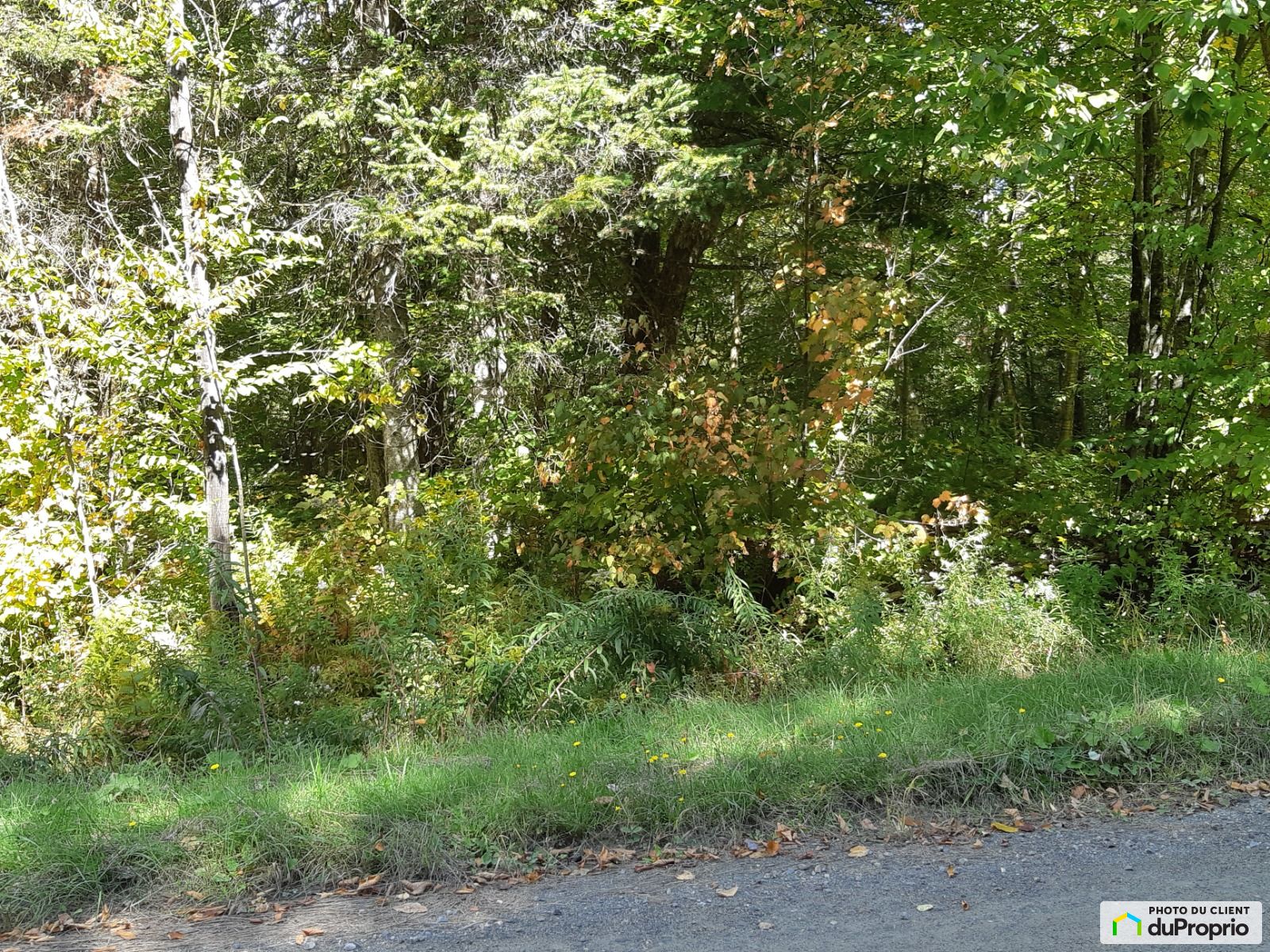 109 Chemin Rousseau — photo 1