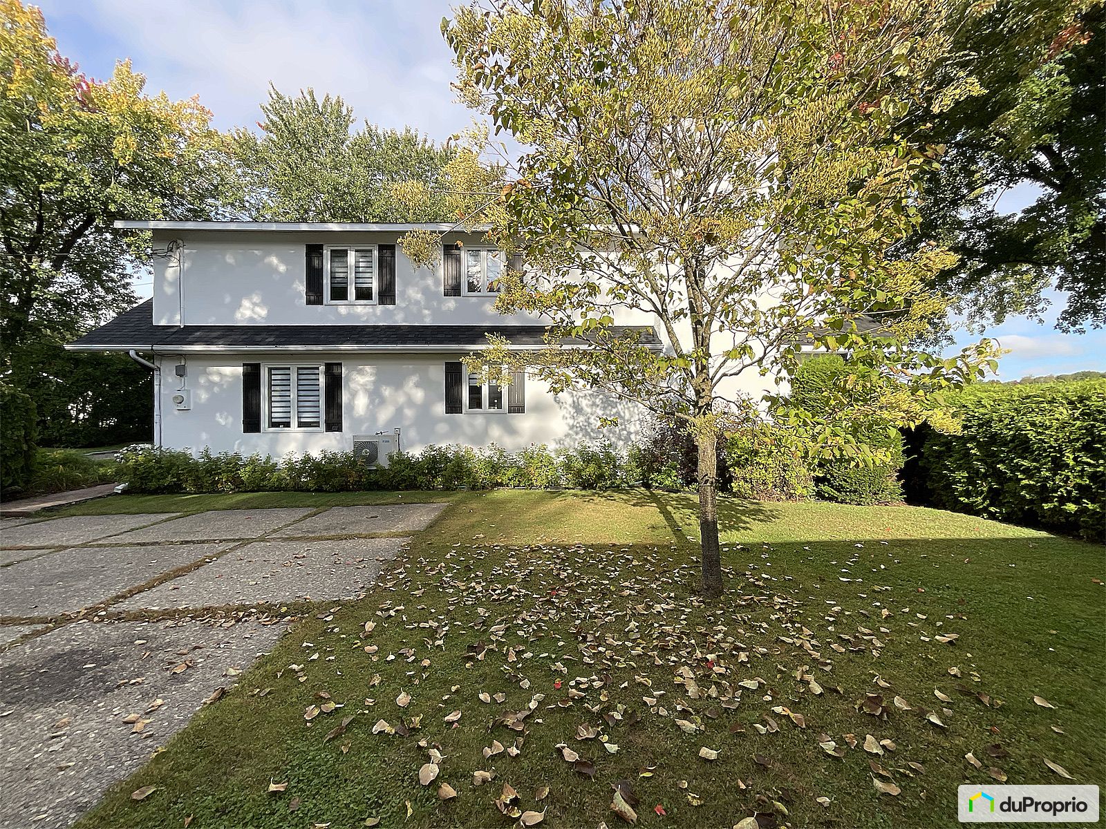17 Rue Gauthier — photo 2