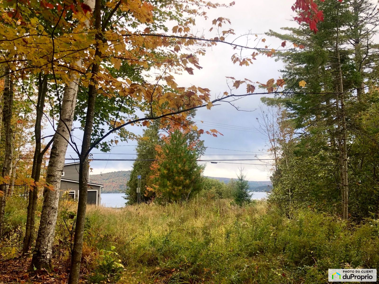 Chemin Tour Du Lac — photo 1