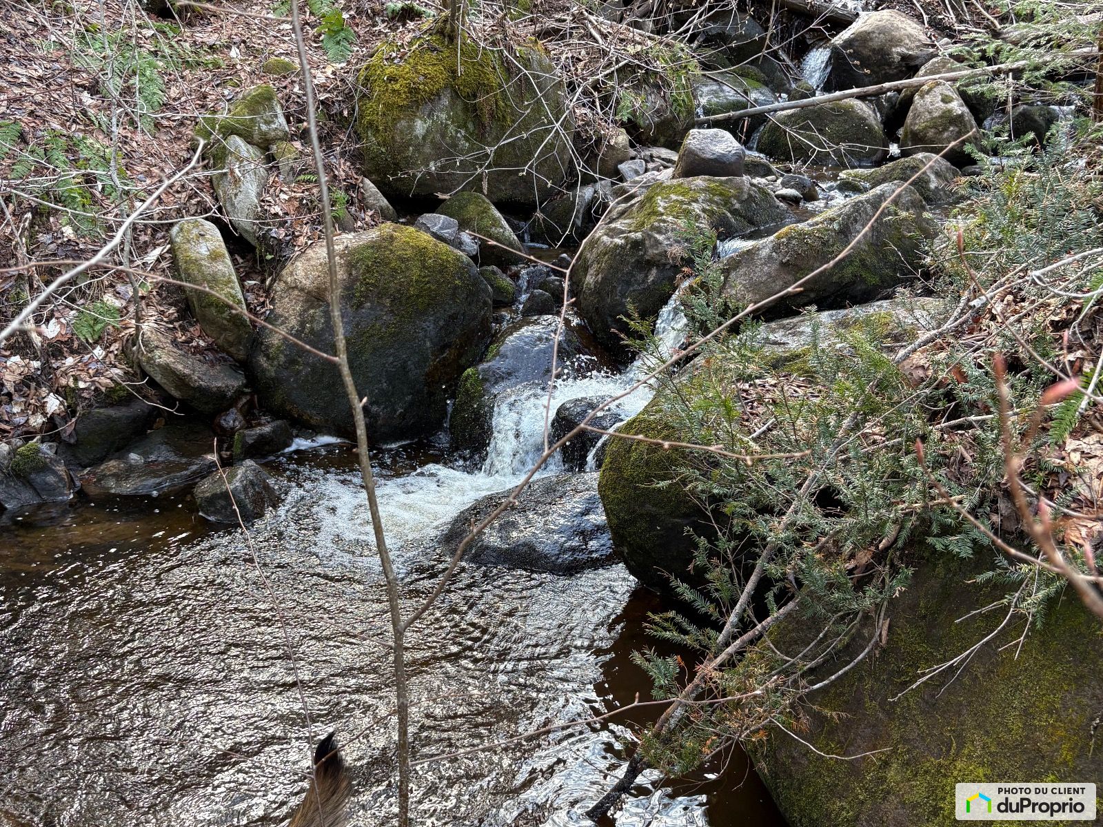 Chemin Masson — photo 3