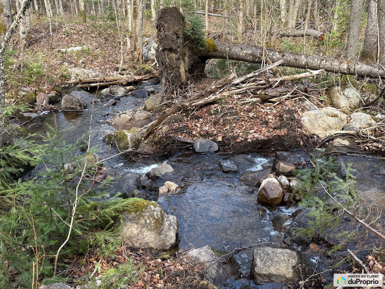 Chemin Masson — photo 1
