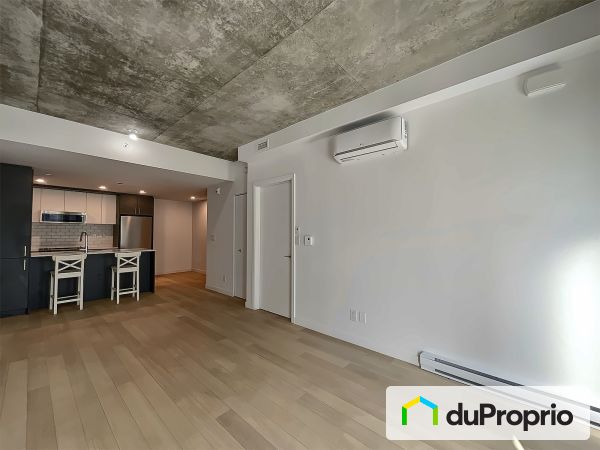 114-3155, avenue Parkville, Mercier / Hochelaga / Maisonneuve à vendre