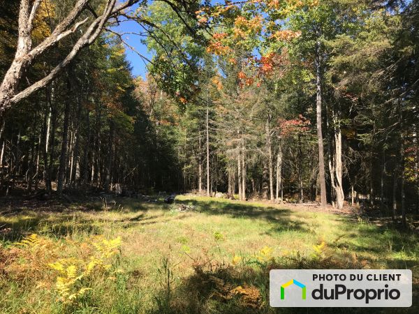 Lot -  chemin du Lac-Boileau Ouest, Rivière-Rouge for sale