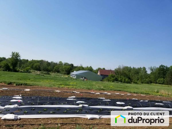 180 montée Stonefield, Brownsburg-Chatham for sale