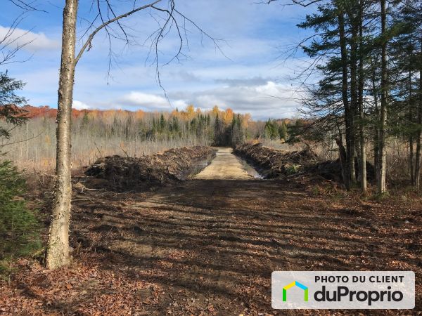 , grand rang Ste-Catherine, St-Cuthbert à vendre