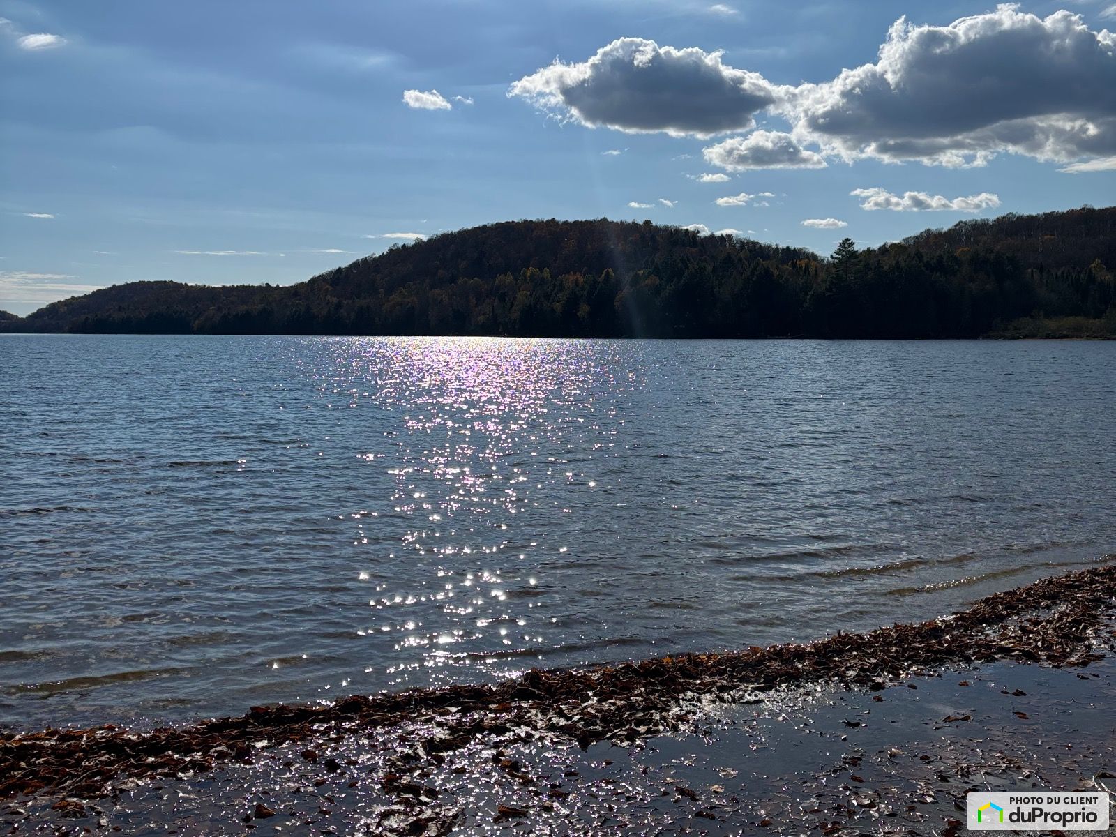 346 Chemin Du Lac De La Carpe — photo 3