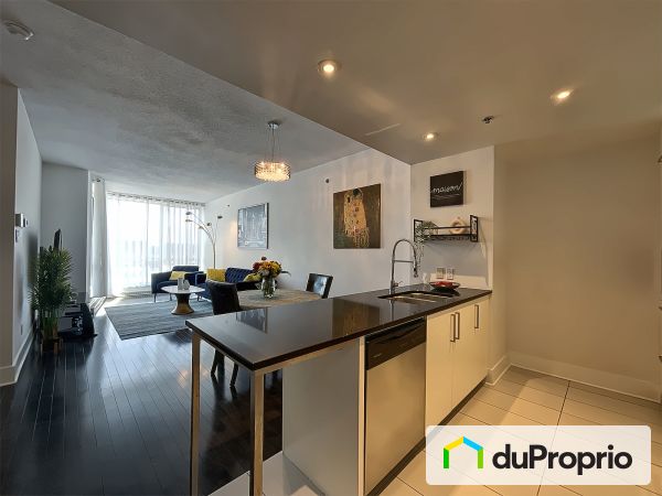 403-370, rue Saint-André, Ville-Marie (Centre-Ville et Vieux-Montréal) à vendre