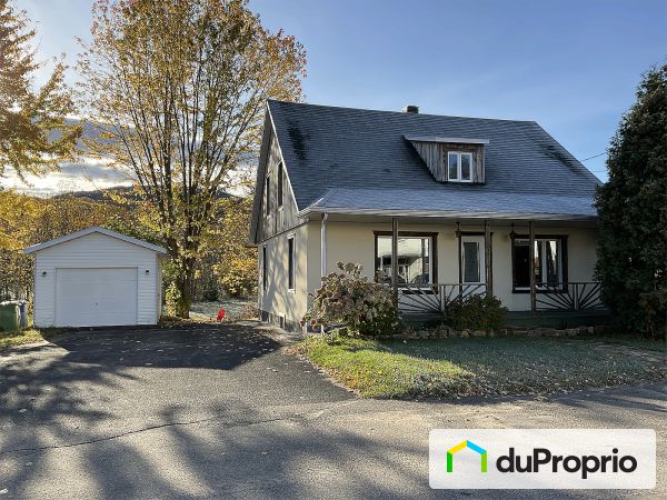 38, rue Saint-Jean-Baptiste, L'Anse-St-Jean à vendre