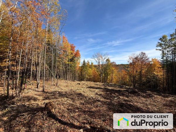 31, rue Zotique-Beauchamp, St-Côme à vendre