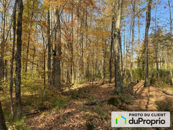 rue des Faux-Trembles, Eastman for sale