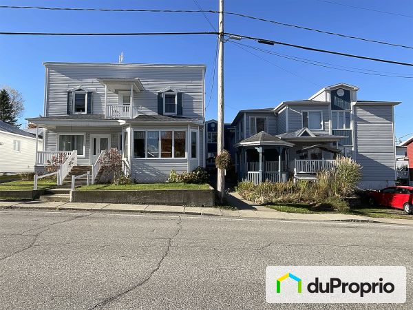 2110 route Principal, St-Nérée for sale