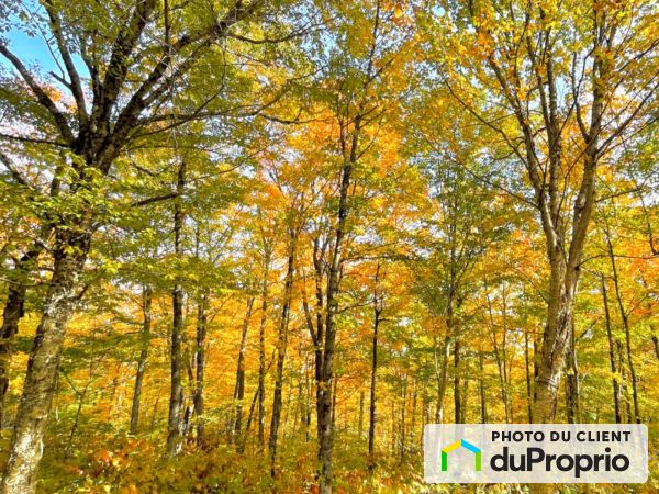 31 route 283, St-Fabien-De-Panet for sale