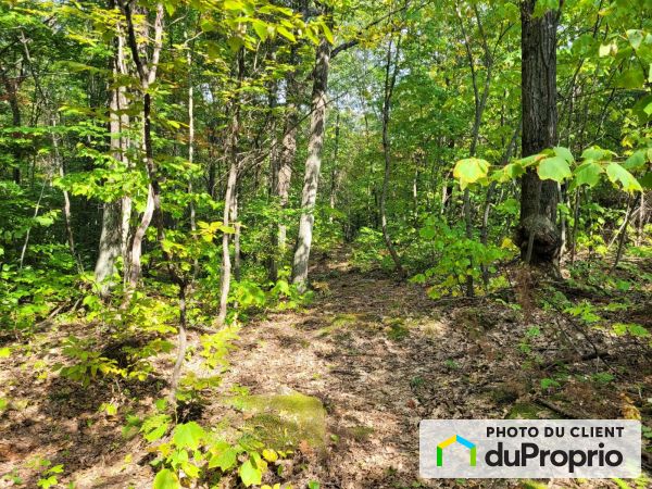 410, rue Saint-Denis, Ste-Sophie à vendre