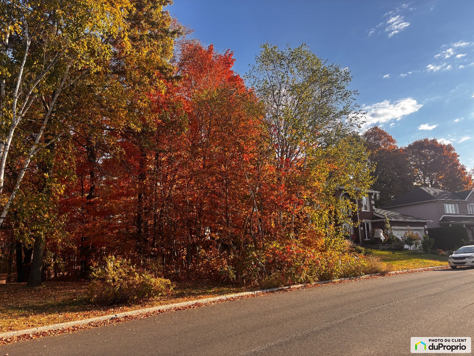 780 Rue De Bois Guillaume — photo 1