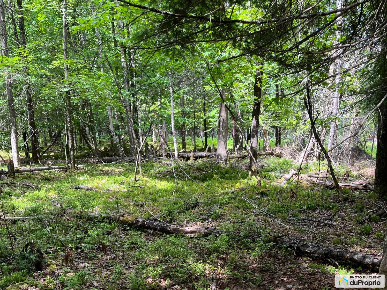 X Chemin Du Lac Lanthier Est — photo 1