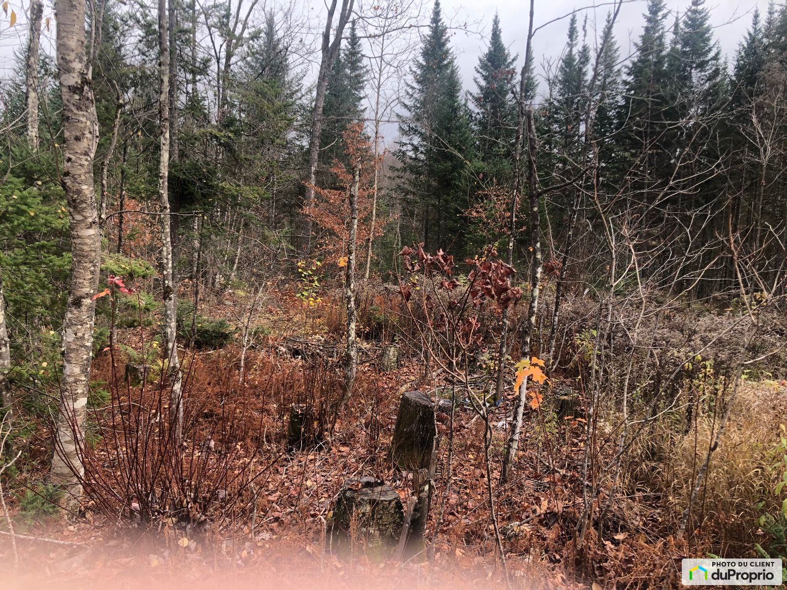 Chemin Des Lacs — photo 1