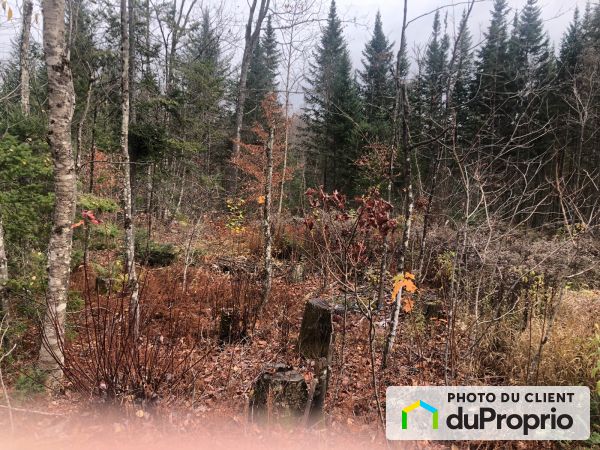  chemin des Lacs, Mont-Blanc (St-Faustin-Lac-Carré) for sale