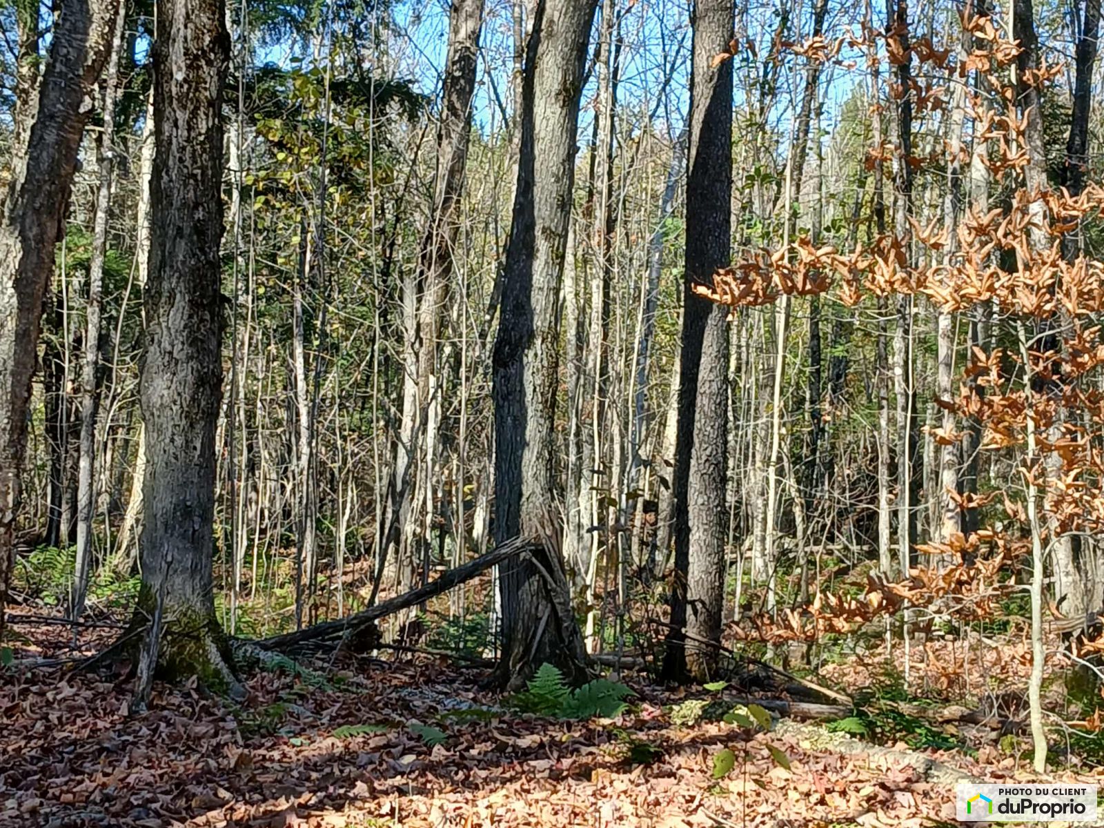 Route 220 — photo 1