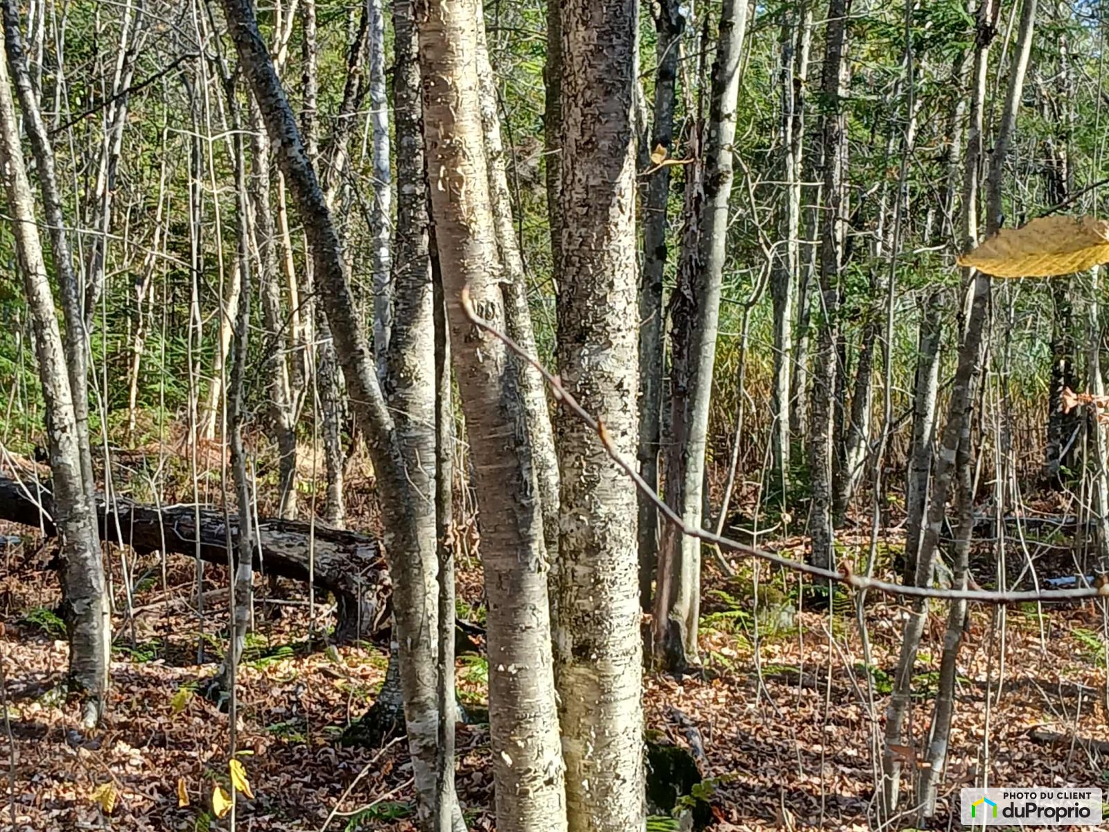 Route 220 — photo 3