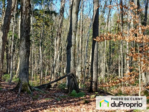  route 220, Orford for sale