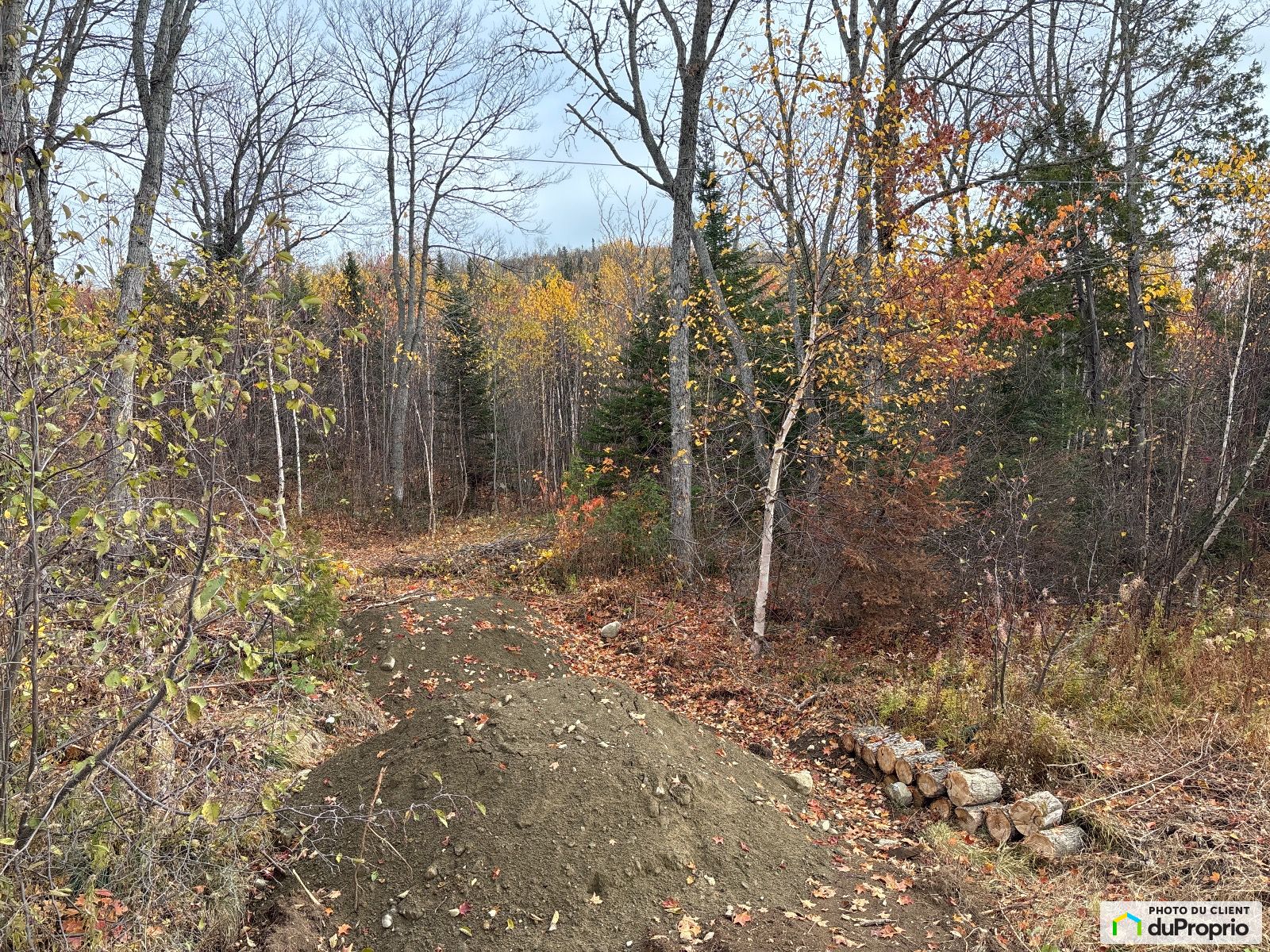 Chemin Des Erables — photo 2
