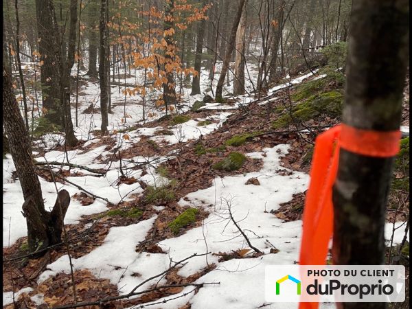 Boisé - , rue McPhillip, Ste-Mélanie à vendre