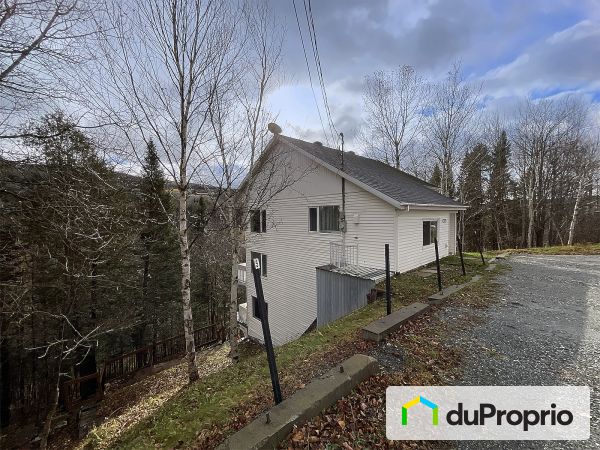 150, rue Labrecque, St-Malachie à vendre