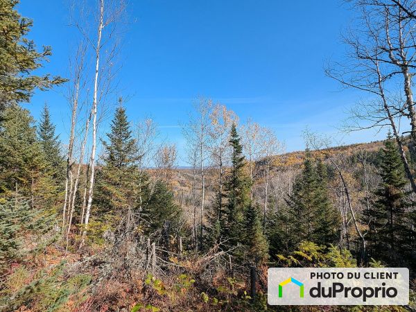 480, rang Saint-Placide Sud, Baie-St-Paul à vendre