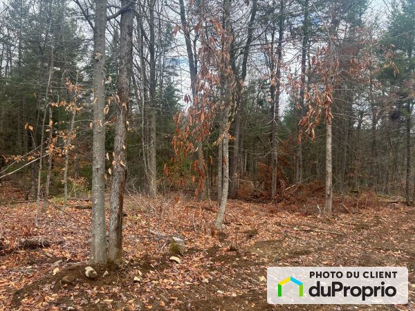 rue du Lac-Frédéric, Gore for sale