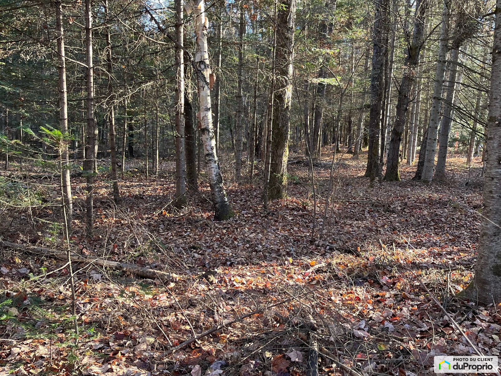 Chemin Des Peupliers — photo 3