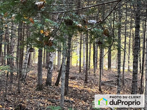  Chemin des Peupliers, La Conception for sale