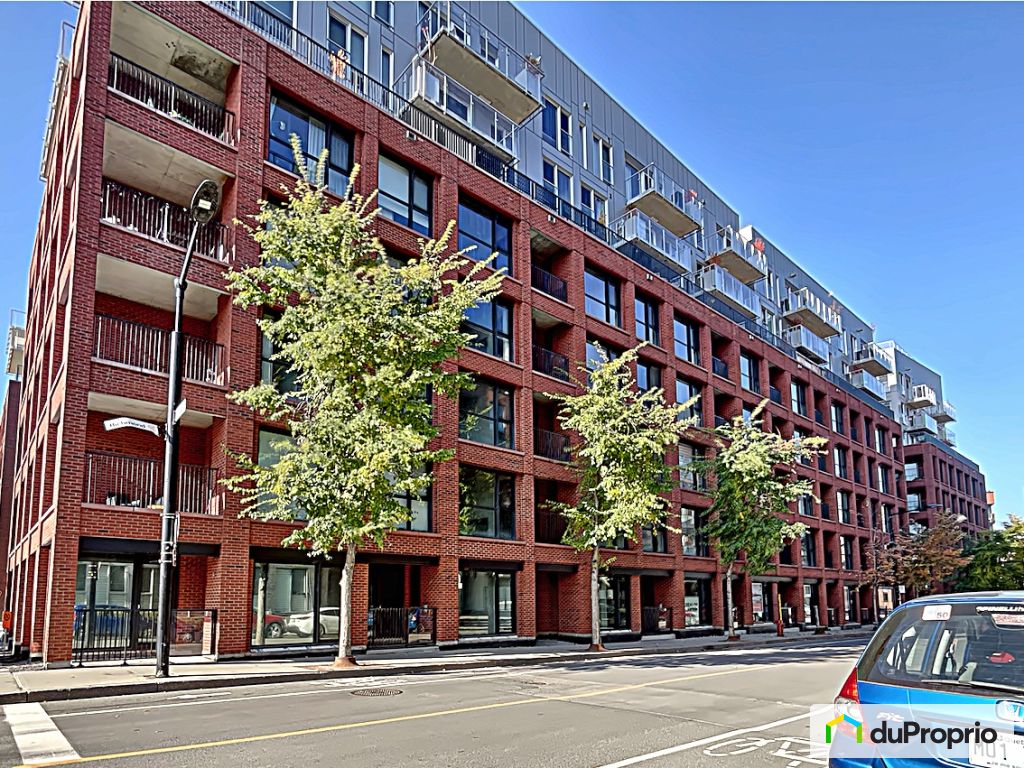 633 288 Rue Richmond — photo 2