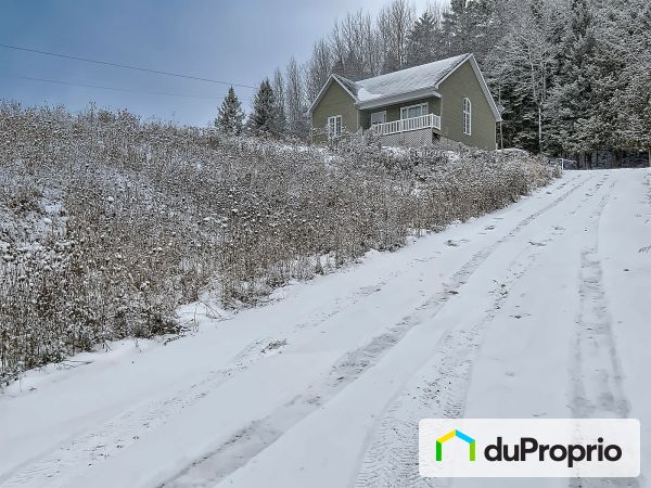 1542, route 309, ND-De-La-Salette à vendre