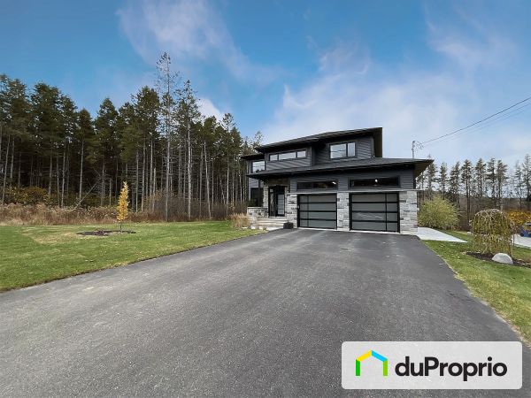 317, rue Paquet, St-François-Xavier-De-Brompton à vendre