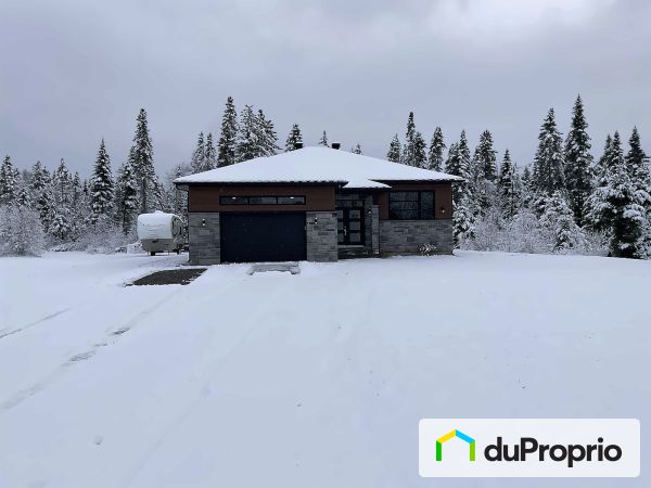 132, 1re Avenue, St-Raymond à vendre