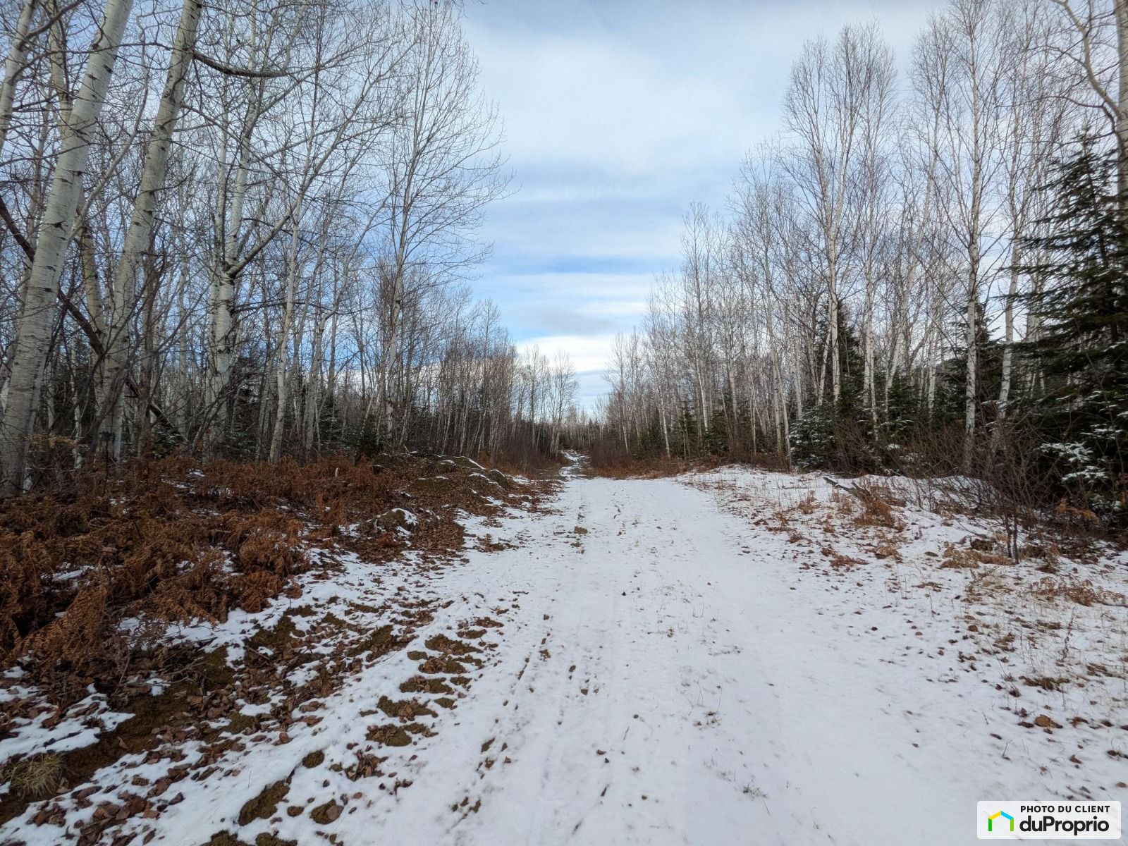 Chemin Des Clark — photo 2