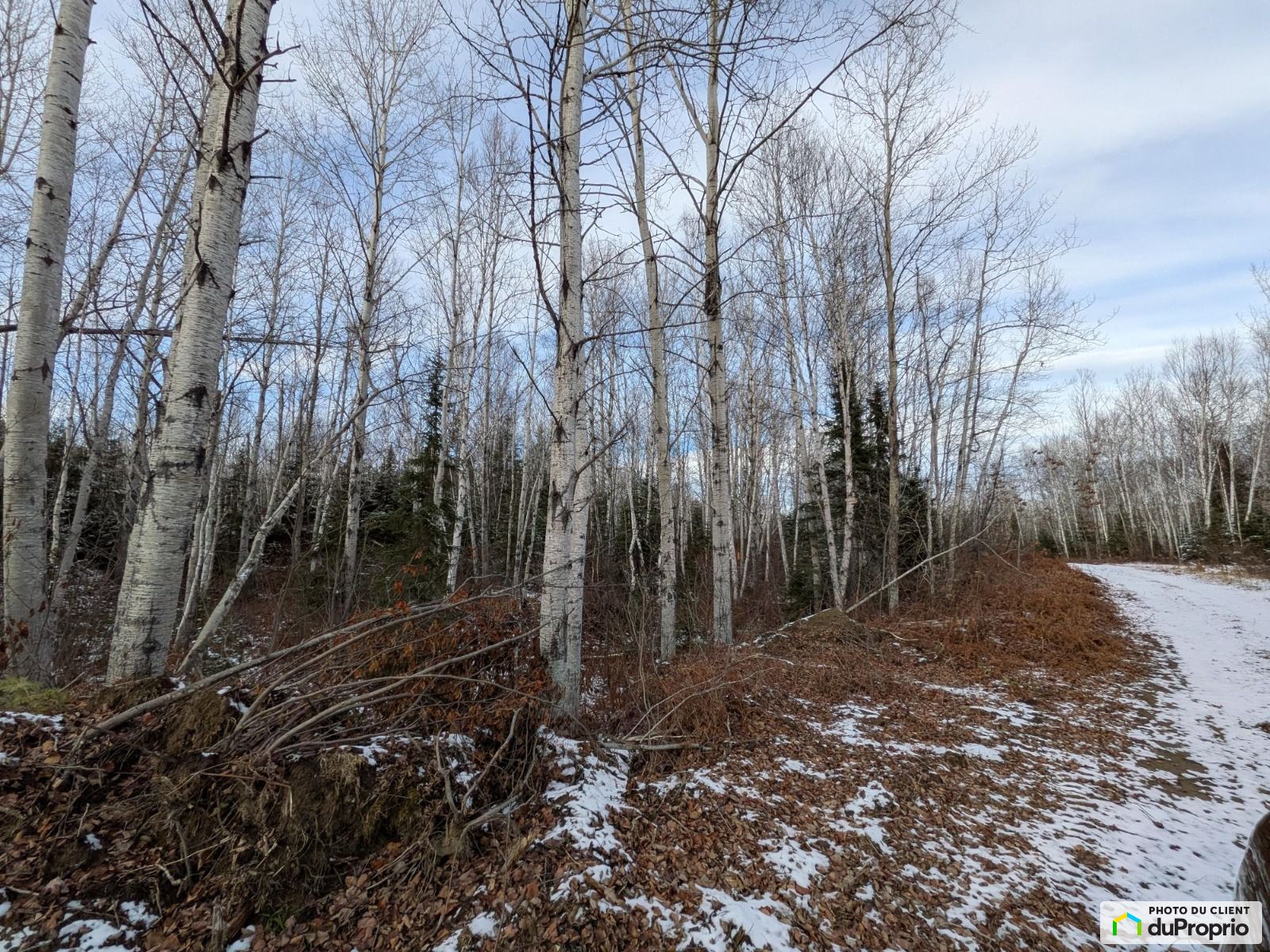 Chemin Des Clark — photo 3