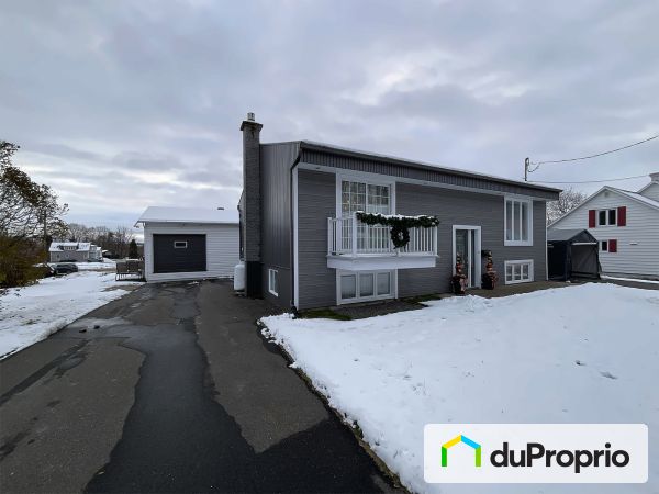 117, 1re Avenue, Portneuf à vendre