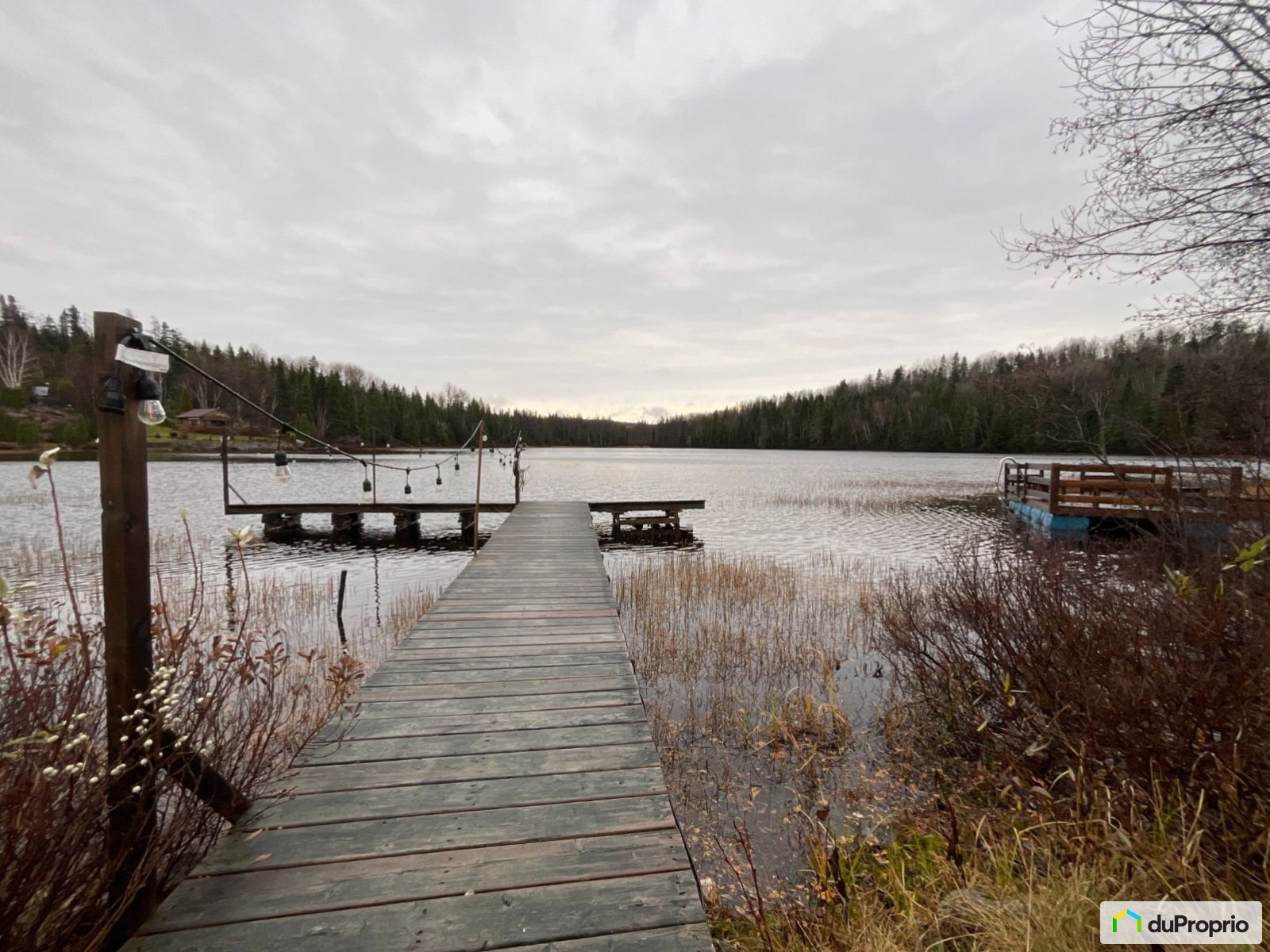 4222 Sentier Du Lac Du Moulin — photo 3