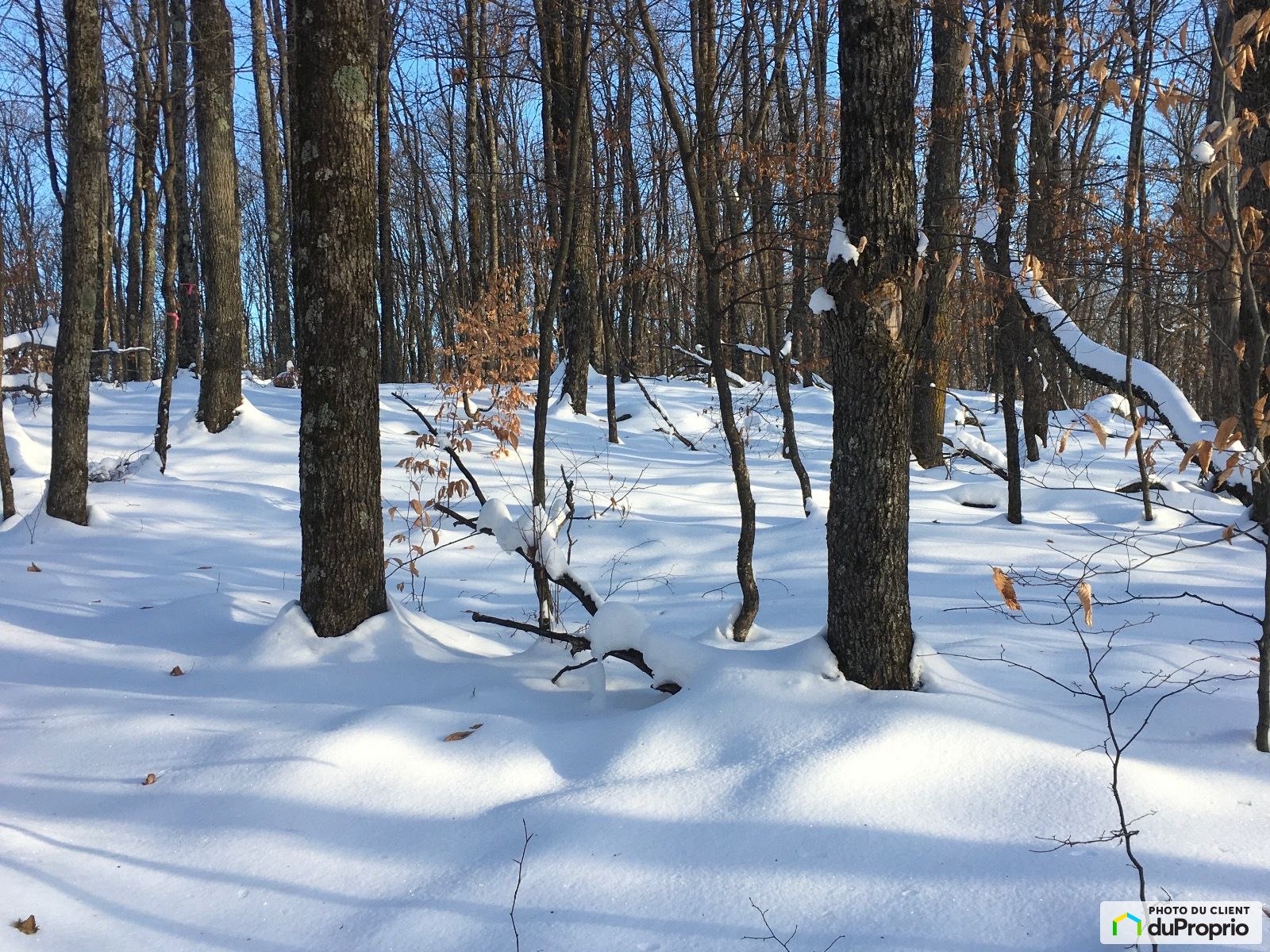 Allee Des Algonquins — photo 3