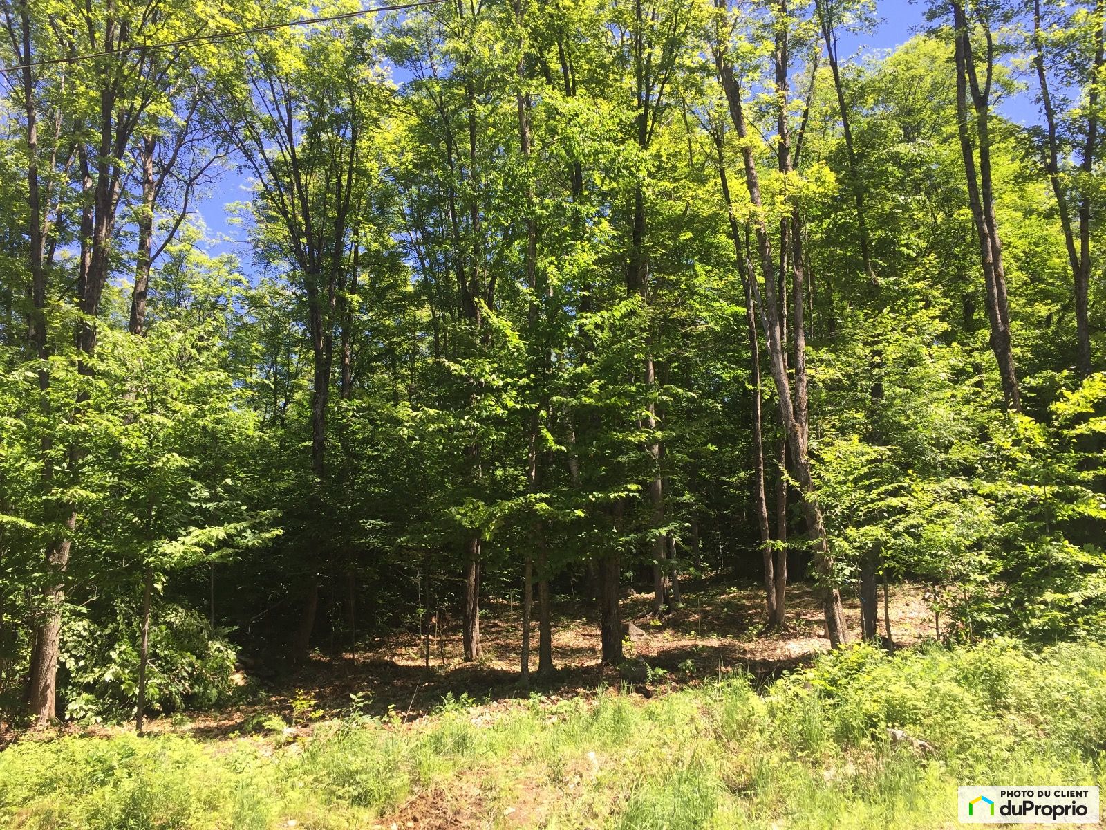 Allee Des Algonquins — photo 2