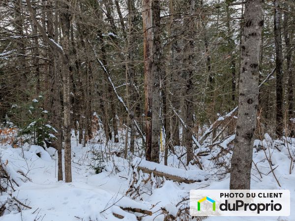 , avenue des Pins, Ste-Beatrix à vendre