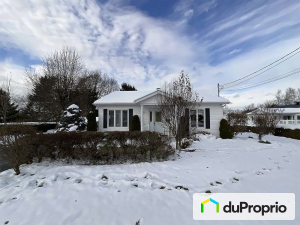 242 rue Richard, Lambton for sale
