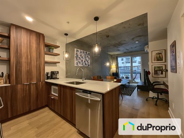 Condo - 231-5100 rue Molson, Rosemont / La Petite Patrie for sale