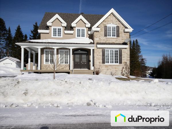 12, rue du Boisé, Lac-Etchemin à vendre