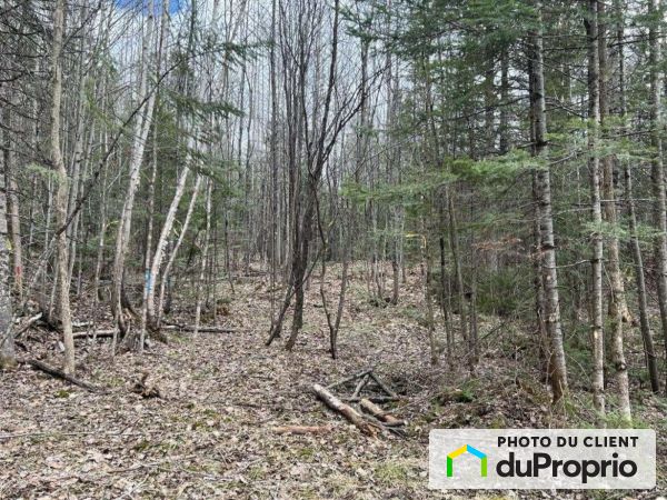 1092, montée Saint-Amour, Cantley à vendre