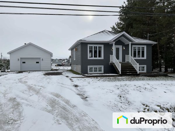 406, route de Tadoussac, St-Fulgence à vendre
