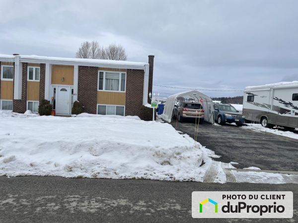 40, rue des Prés, St-Jacques-De-Leeds à vendre