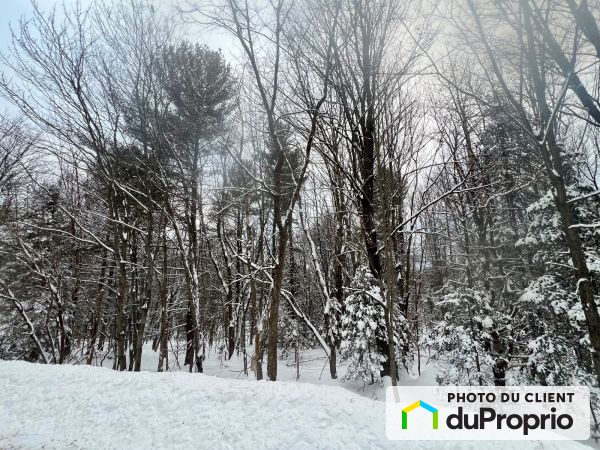 , chemin des Alouettes, Ste-Anne-Des-Lacs à vendre